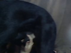 Dog Fuck Naija Girl