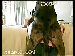Animal Furry Porn Comics