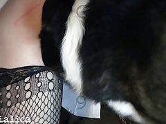 Men Fuck Animal Porn Videos