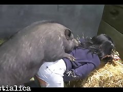 Best Sites To Watch Animal Porn