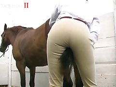 Muslim Animal Porn