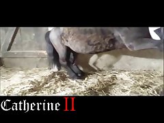 Telegram Animal Porn Link
