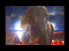 Videos Porno Gay De Zoofilia