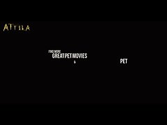 Videos Zoofilia Perro