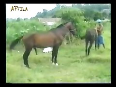 Relatos Zoofilia Hombres