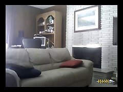 Gay Animal Sex Toys