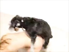 Film Zoofilia