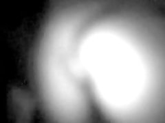 Zoofilia Con Senoras