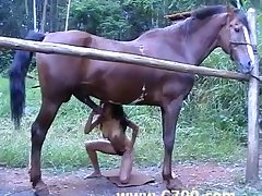 Porn Zoofilia Amateur