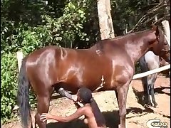 Zoofilia Sexo Com Animais