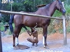 Videos Pornos Zoofilia 2025