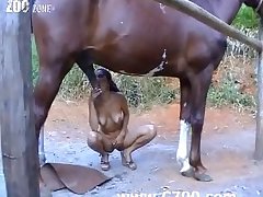 Videos Pornos Zoofilia 2025