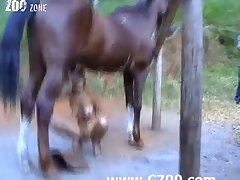 Videos Pornos Zoofilia 2025