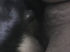 Xxx Zoofilia Con Serpientes