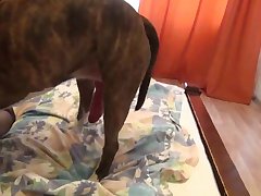 Porn Cartoon Zoofilia Gratis