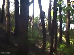 Zoofilia Viddos