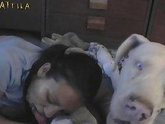 Zoofilia Sin Censura Xxx