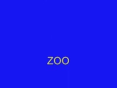 Xbichos Porno Animal