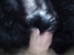Porno Instinto Animal