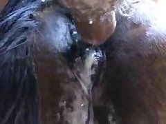 Bna Brand New Animal Porno