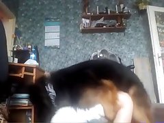 Video Porno Mulher Transando Animal