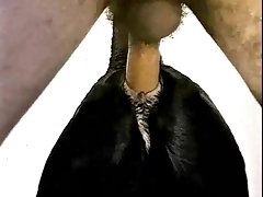 Redtub Porno Animal