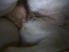 Filmes Porno Con Animal