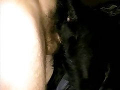 Colecao Mundo Animal Porno