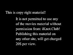 Porno Filme Animal