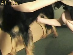 Squirt While Eating Pussy Porn Xxx