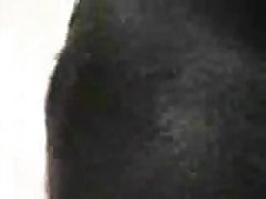 Kitten Xxx Porn