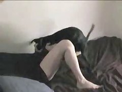 Jav Hd Xxx Porn