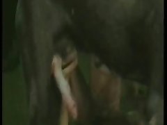 Sexy Erotic Striptease Porn Xxx