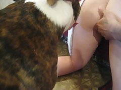 Ms Boogeyman Tiktok Xxx Porn