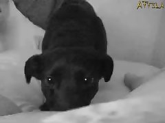 Ella Nova Anal Xxx Porn