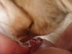 Any Barone La Xxx Porn