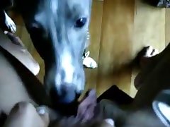 Free Xxx Porn Full Hd