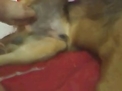 Gay Male Threesome Porn Xxx