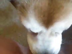 Argentina Masturbandose Xxx Porn