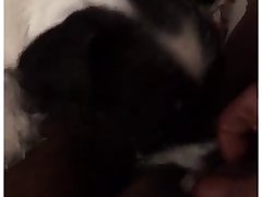 High Sex Porn Xxx