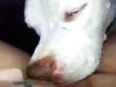 Shock Porn Xxx