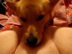 Vampire Xxx Porn