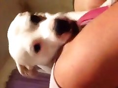 Xxx Full Hd Porn Sex Videos