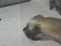 Xxx Redwap Porn Video
