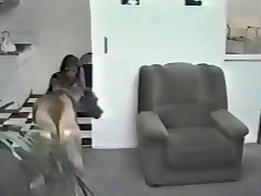 Xxx Redwap Porn Video