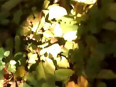 Silesto Animal Sex