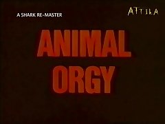 Zoo Animal Sex