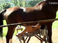 Guy Fucks Dog Zoo Porn