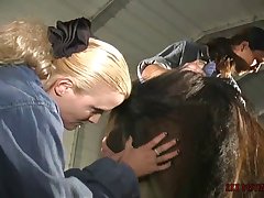 Gay Zoo Porn Teen