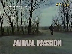 Animal Sex Cartoon